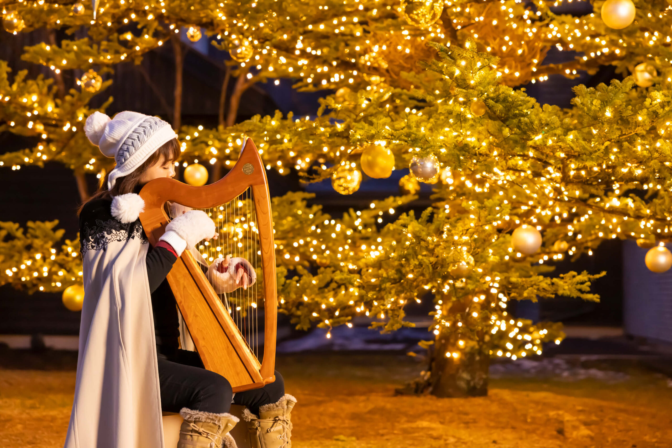 ♡ポインセチア咲くクリスマスツリー♡うさぎ姉妹 鳥 シーグラスアート 天然石 楽天市場】ポインセチア クリスマスツリーの通販