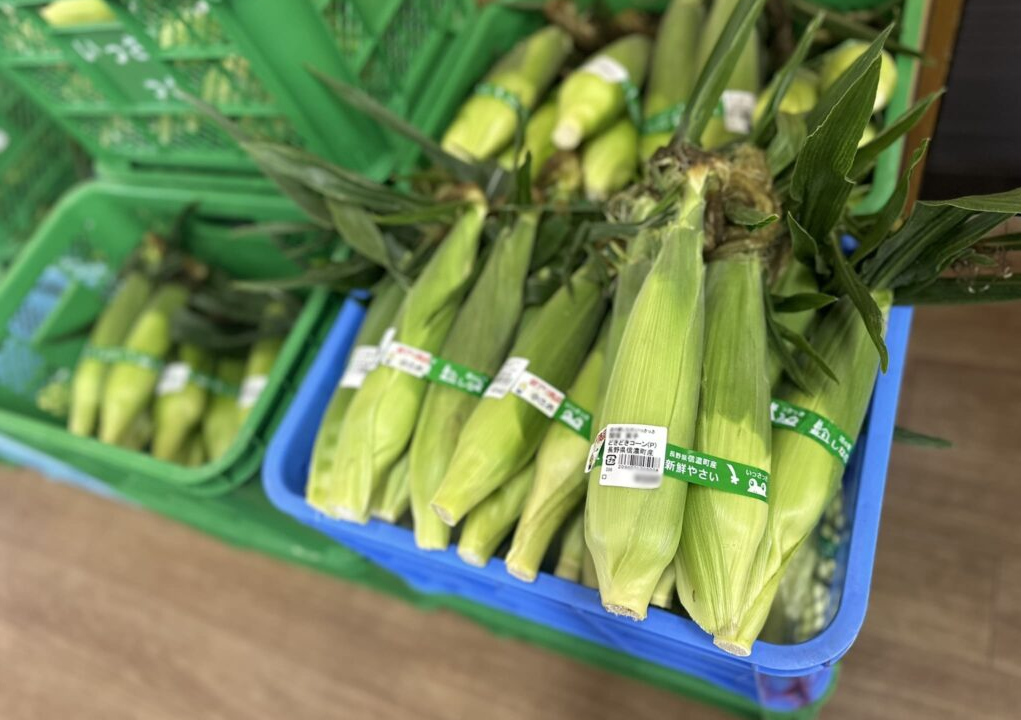 地場産品直売所いっさっさのトウモロコシ