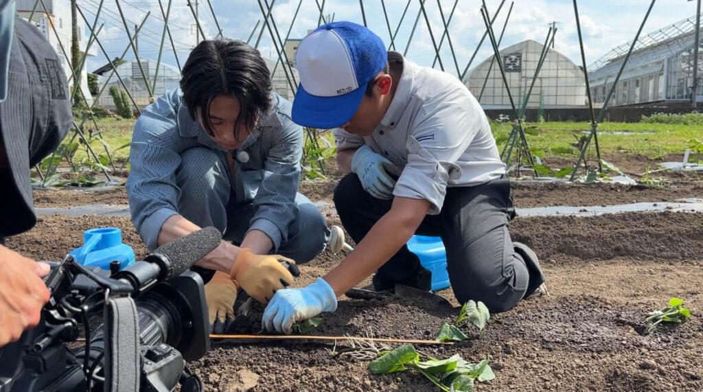 FANTASTICS(ファンタスティックス)の澤本夏輝さんのサツマイモ植えの写真