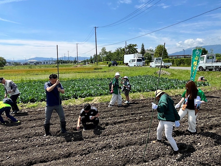 青大豆の「あやみどり」は松本山雅農業プロジェクトとして栽培している