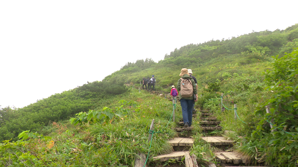 白馬八方池の登山道