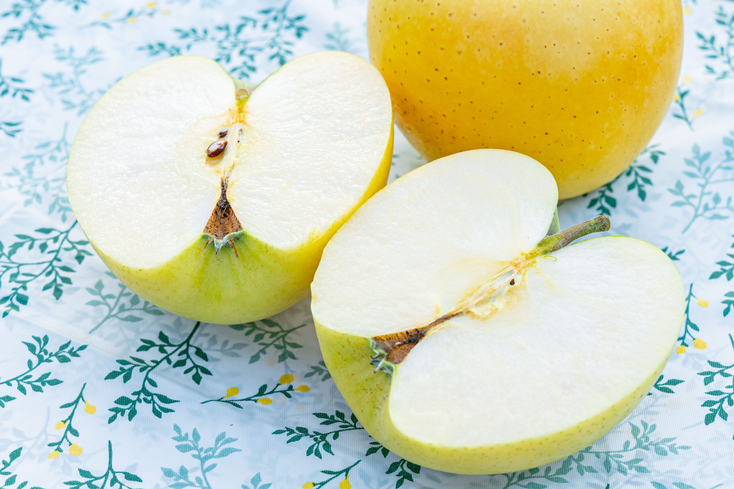 ながの果物語り～りんご編～(PR) | ARURA（アルラ）