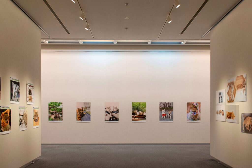 「ねこにすと」写真展